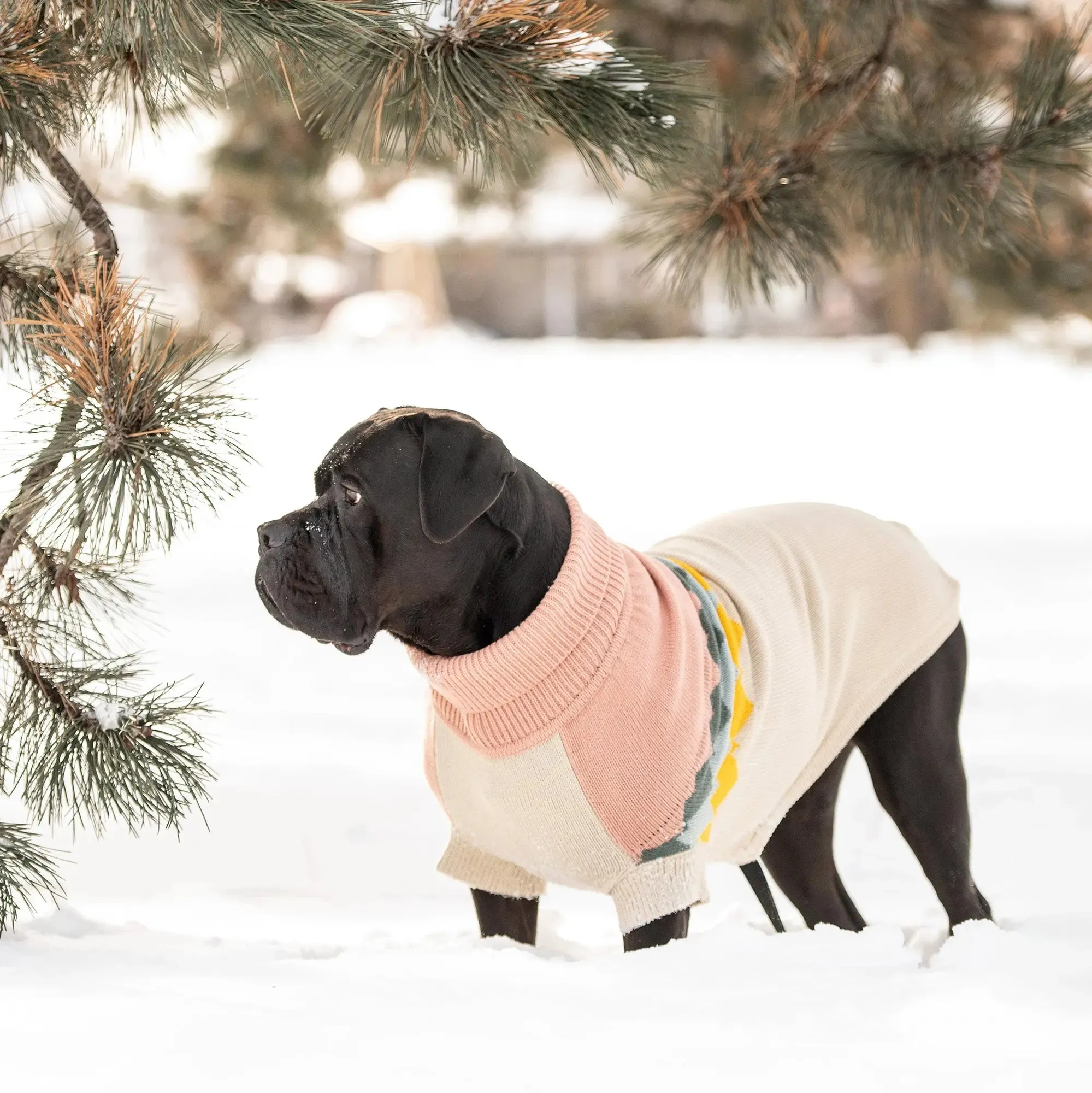 Fireside Dog Sweater | Clay